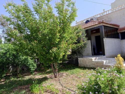 Κήπος έξω από το family studio