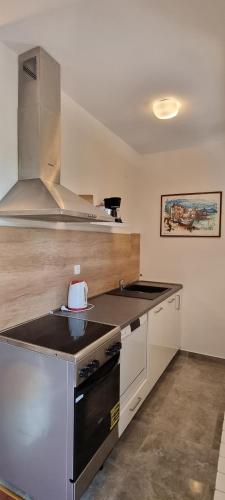 a kitchen with a sink and a stove top oven at Apartment PALATISA in Kožino