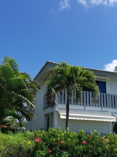 una casa bianca con una palma di fronte di Trois mats a Saint-François