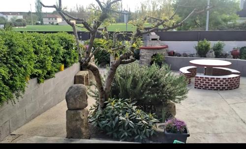 a small tree in a garden with plants at Larrion Hostal - Ostatua in Larrión