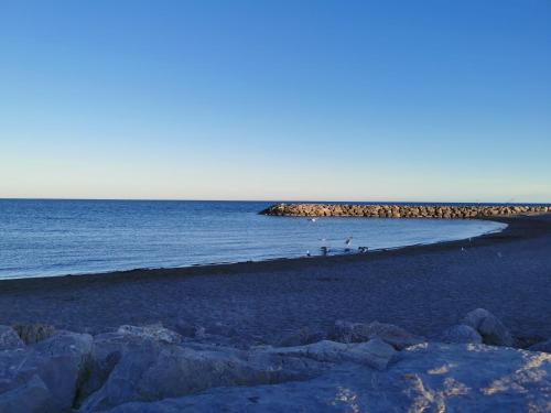 SPACIEUX APPARTEMENT FRONT DE MER
