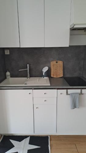 uma cozinha com armários brancos e um lavatório em Appartement Le Gambetta em Troyes