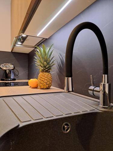 a pineapple sitting on a kitchen counter next to a sink at Apartment Anya in Koper