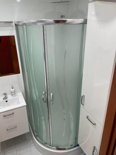 La salle de bains est pourvue d'une douche en verre et d'un lavabo. dans l'établissement MIESZKANIE, à Sianów