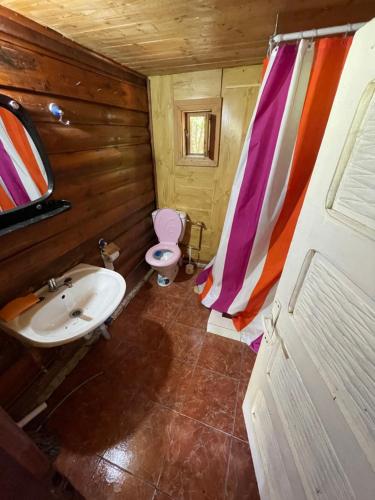 a small bathroom with a sink and a toilet at Cabana trei paltini in Poiana Vadului