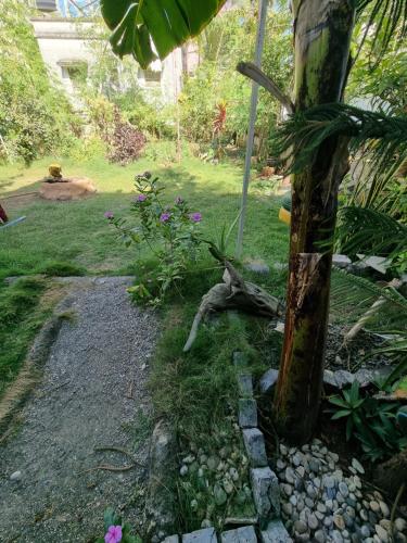 a garden with a palm tree and some rocks at Dream Vision Guest House in Diu