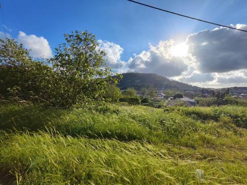 a field of grass with the sun in the sky at 1 Bedroom house we call home in Tarshīhā