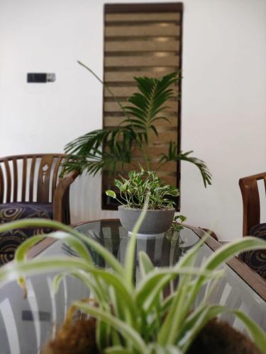 a table with two potted plants on top of it at Galle Wonvil Apartment in Galle