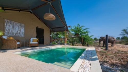 Piscina di Elephant View Camp o nelle vicinanze