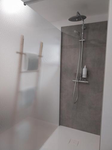 a bathroom with a shower with a shower head at Au Cœur des Vallées in Couvin