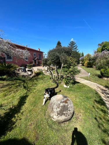 Zahrada ubytování Magione B&B