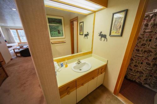 a bathroom with a sink and a mirror at Quicksilver 1672 in Keystone