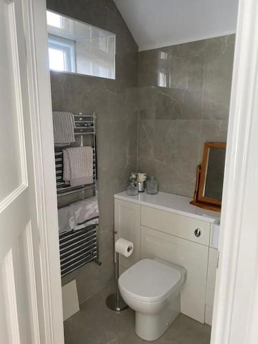 a bathroom with a white toilet and a mirror at Broughanore Lodge in Dunloy