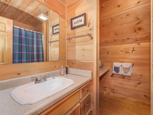 a bathroom with a sink and a mirror at Stillwater Cove in Dandridge