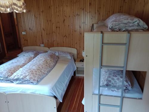 two bunk beds in a room with wooden walls at Sasso Nero in Chiesa in Valmalenco