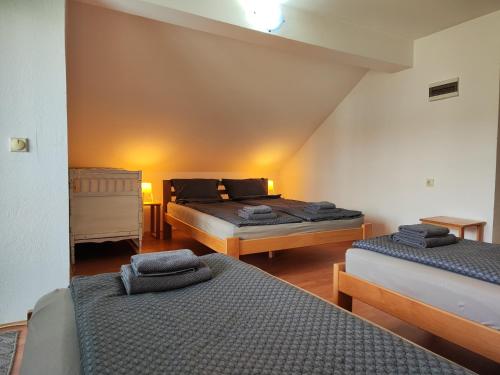 1 Schlafzimmer mit 2 Betten in einem Zimmer in der Unterkunft Apartman Trifunović Sokobanja in Sokobanja