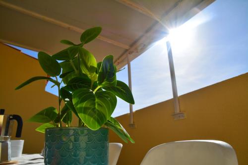 Dúplex en Oropesa del Mar