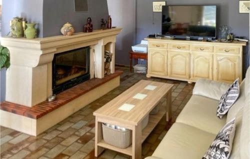 un salon avec une cheminée et une télévision dans l'établissement Lovely Home In La Roque-Sur-Pernes, à La Roque-sur-Pernes