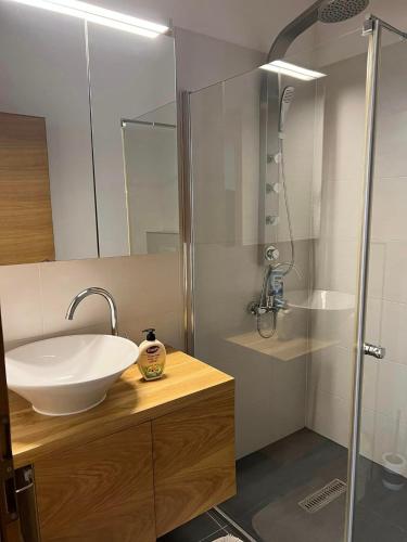a bathroom with a sink and a shower at Kalaja Apartment in Prizren