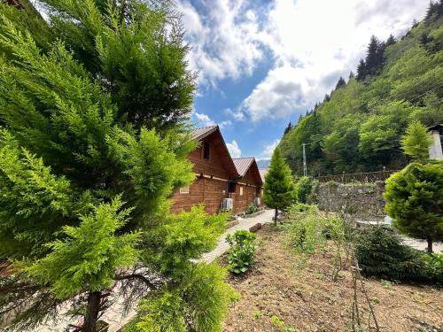 a log cabin in the mountains with a tree at TUVA VİLLA Bungalov in Çamlıhemşin