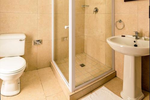 a bathroom with a shower and a toilet and a sink at Clanwilliam Hotel in Clanwilliam