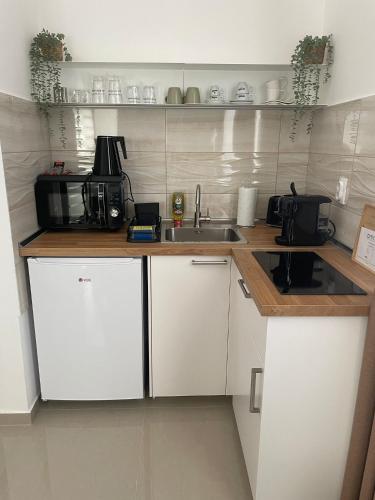 a kitchen with a sink and a microwave at Morpheus apartmani in Sremska Mitrovica