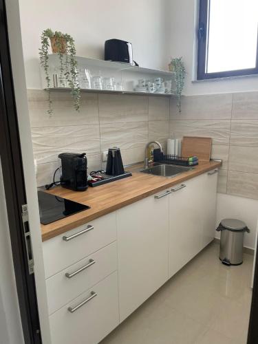 a kitchen with a sink and a counter top at Morpheus apartmani in Sremska Mitrovica