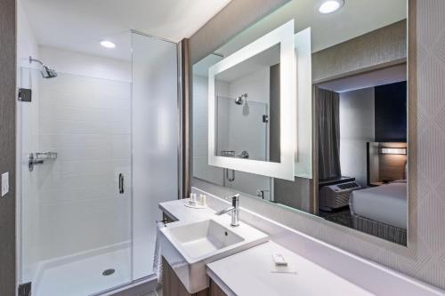 een badkamer met een wastafel, een douche en een spiegel bij SpringHill Suites by Marriott Austin West/Lakeway in Lakeway