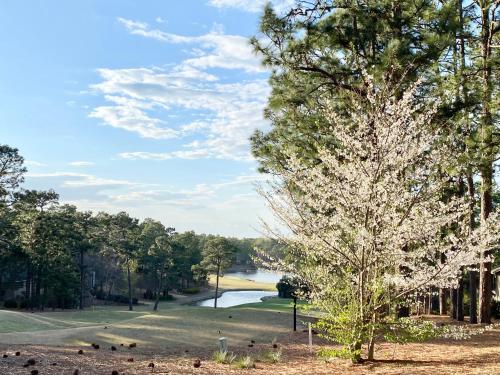 a tree with white flowers on it next to a lake at Golf Front SFH, 3 BR, 2 BA, 4 beds, sleep 6 on Pinehurst #6 in Pinehurst