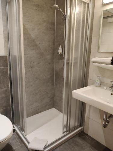 a shower in a bathroom with a sink and a toilet at Alt Reinsport in Piesport