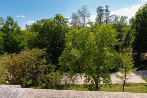 a tree in front of some bushes and trees at Maison Labruyère Bordeaux - Jardin Public in Bordeaux