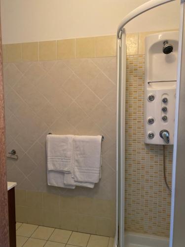 een douche met witte handdoeken in de badkamer bij B&B Palazzo Pancaro in Altomonte