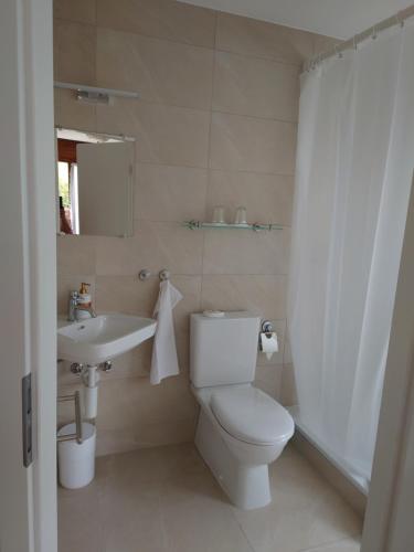 a white bathroom with a toilet and a sink at Maison Champperbou in Haut-Vully