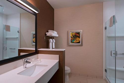 uma casa de banho com um lavatório, um espelho e um WC. em Fairfield Inn & Suites by Marriott Austin Buda em Buda