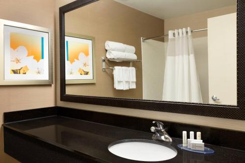 a bathroom with a sink and a large mirror at Fairfield Inn & Suites Dallas Mesquite in Mesquite