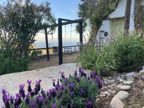 a garden with purple flowers in front of a house at Villa Meltemi in Arnados