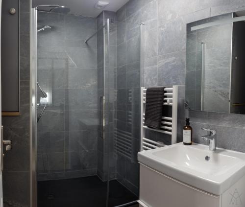 une salle de bain avec un lavabo et une douche dans l'établissement Appartement - Le Petit Loft -, à Tarbes
