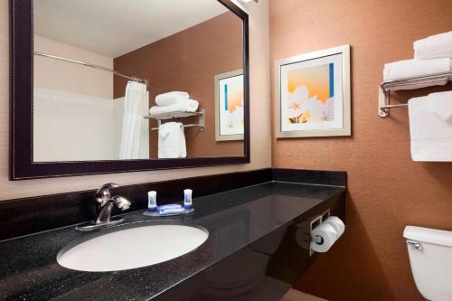 a bathroom with a sink and a mirror and a toilet at Fairfield Inn & Suites Lansing West in Delta Center Township