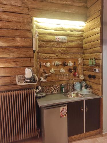 a kitchen with a sink and a radiator at Ο Σκίουρος Παραδοσιακοί Ξενώνες in Oíti