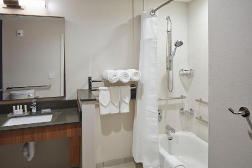 a bathroom with a shower and a sink and a tub at Fairfield Inn & Suites Seneca Clemson Univ Area in Seneca