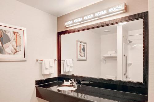 baño con lavabo y espejo grande en Fairfield Inn & Suites Cartersville, en Cartersville