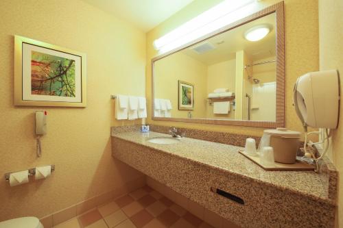 a bathroom with a sink and a large mirror at Fairfield Inn & Suites by Marriott Cordele in Cordele