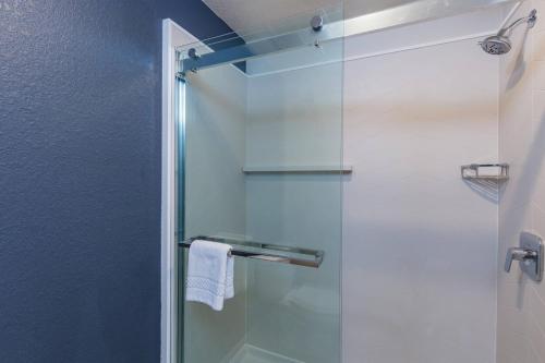 a bathroom with a shower with a glass door at Fairfield Inn and Suites by Marriott Tampa North in Tampa
