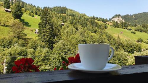 a cup of coffee sitting on a ledge with a view at Pensiunea Paula in Moieciu de Sus