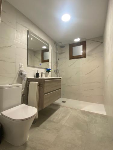 a bathroom with a toilet and a sink and a shower at Suites Benalup Centro in Benalup Casas Viejas