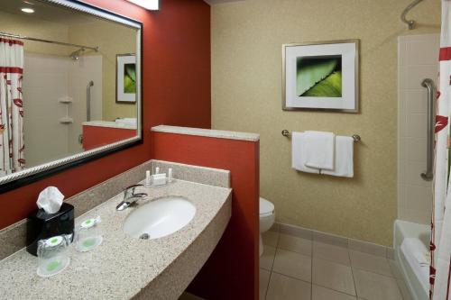 a bathroom with a sink and a toilet and a mirror at Courtyard Texarkana in Texarkana - Texas