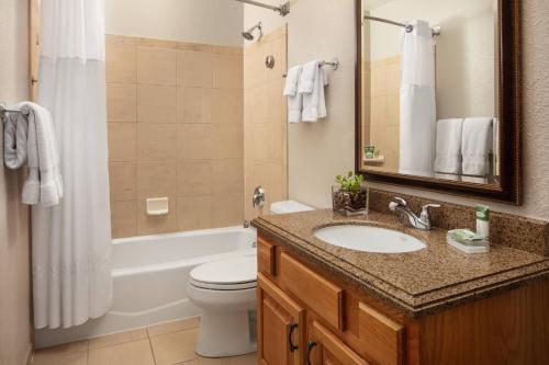 een badkamer met een wastafel, een toilet en een bad bij Marriott's StreamSide Birch at Vail in Vail