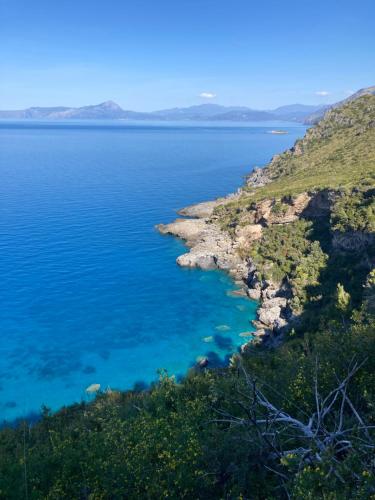 Gallery image of Affittacamere L’ Agrumeto in Maratea