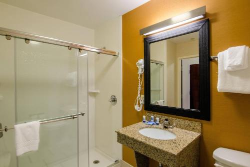 a bathroom with a sink and a shower and a mirror at Fairfield Inn and Suites by Marriott Potomac Mills Woodbridge in Woodbridge