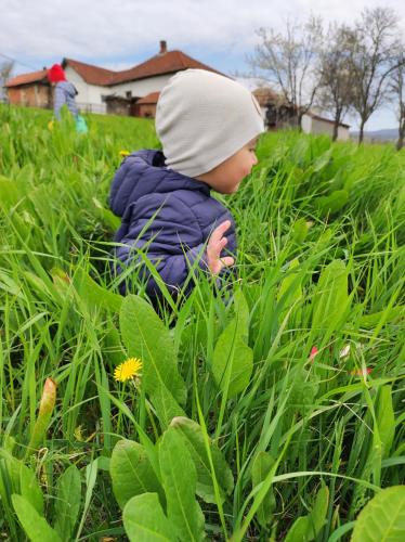 a young child sitting in a field of tall grass at Dedina kuća in Gornji Milanovac